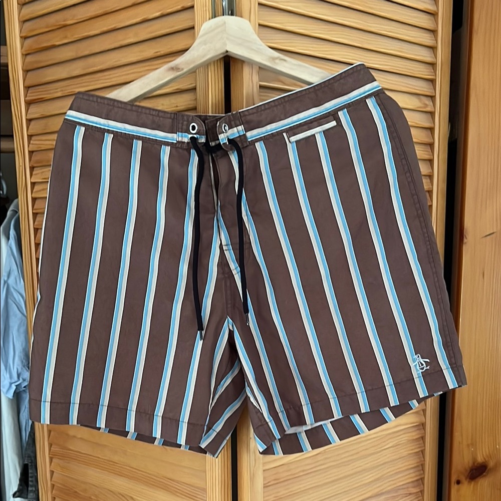 Brown Striped Swim Shorts